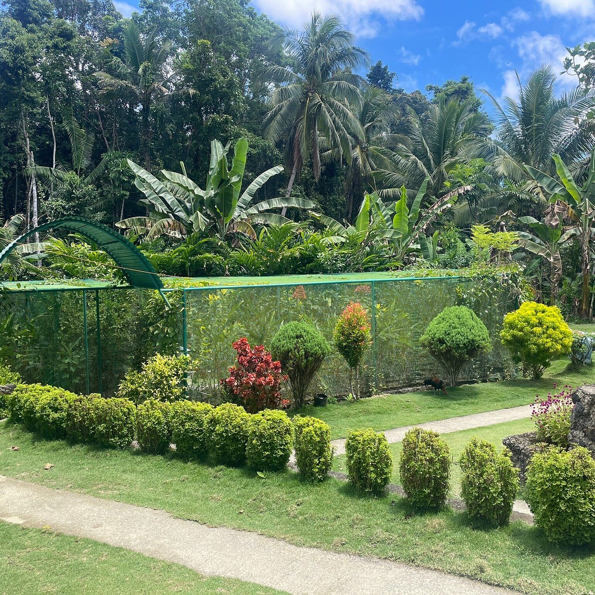 Butterfly Sanctuary